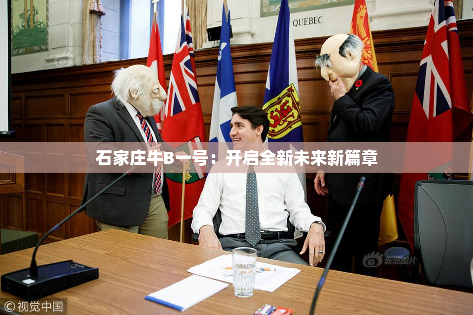 石家庄牛B一号：开启全新未来新篇章