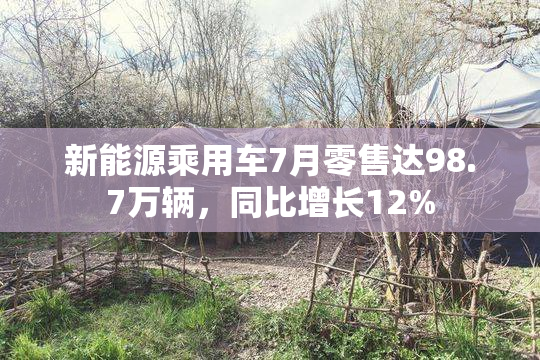 新能源乘用车7月零售达98.7万辆，同比增长12%