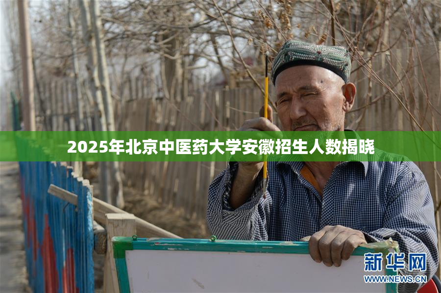 2025年北京中医药大学安徽招生人数揭晓