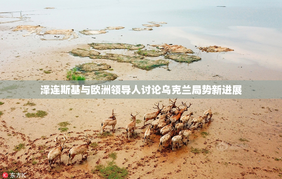 泽连斯基与欧洲领导人讨论乌克兰局势新进展