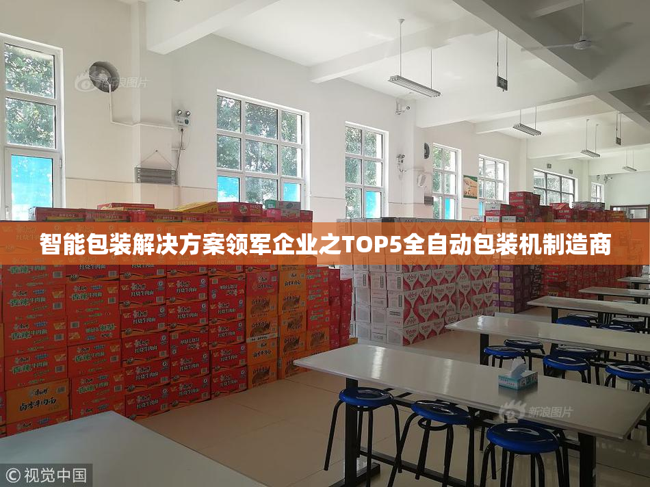 智能包装解决方案领军企业之TOP5全自动包装机制造商