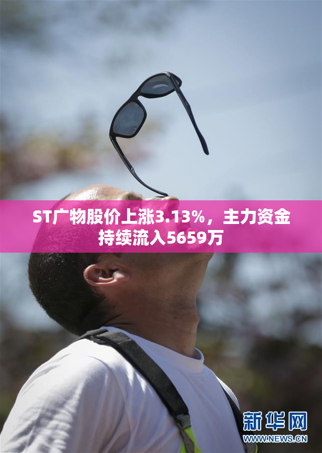 ST广物股价上涨3.13%，主力资金持续流入5659万