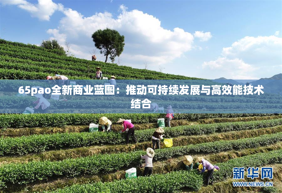 65pao全新商业蓝图：推动可持续发展与高效能技术结合