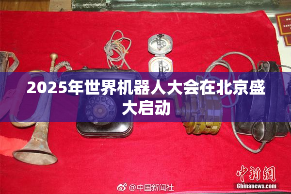2025年世界机器人大会在北京盛大启动