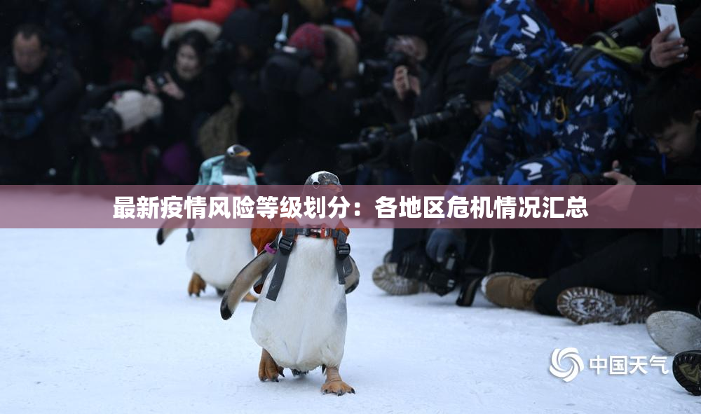 最新疫情风险等级划分：各地区危机情况汇总