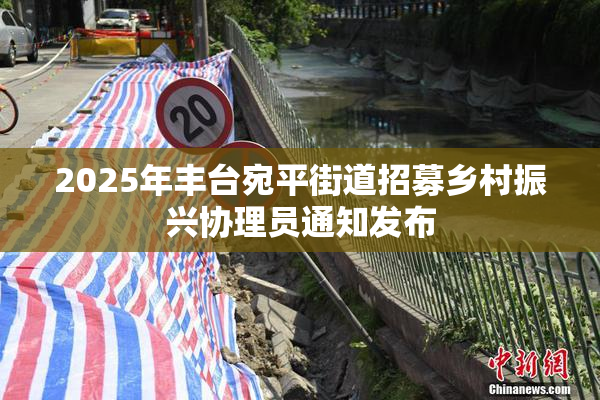 2025年丰台宛平街道招募乡村振兴协理员通知发布