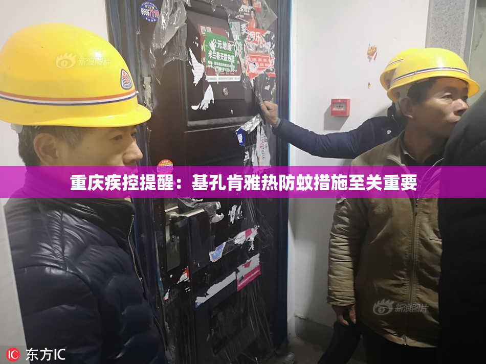 重庆疾控提醒：基孔肯雅热防蚊措施至关重要