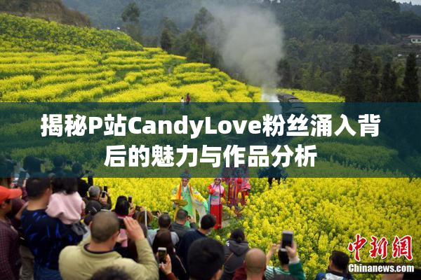 揭秘P站CandyLove粉丝涌入背后的魅力与作品分析