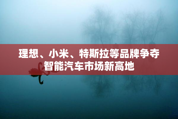 理想、小米、特斯拉等品牌争夺智能汽车市场新高地