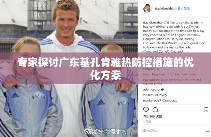 专家探讨广东基孔肯雅热防控措施的优化方案