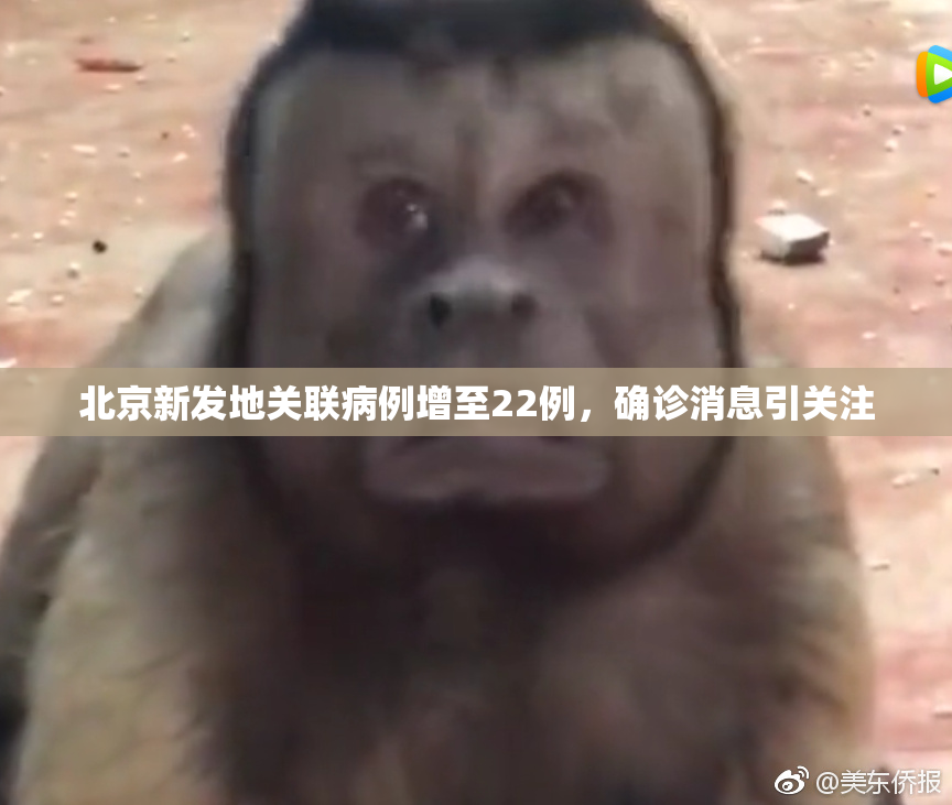 北京新发地关联病例增至22例，确诊消息引关注