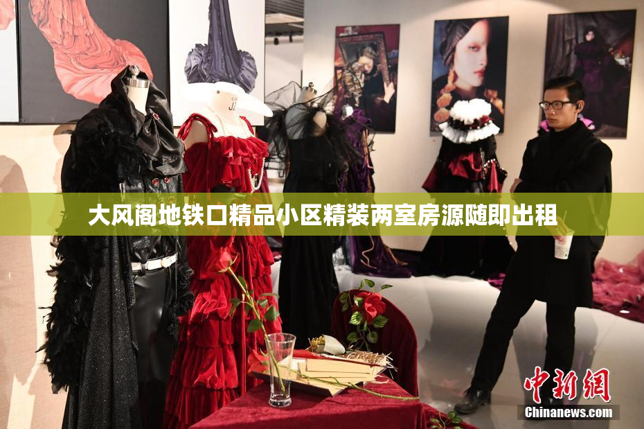 大风阁地铁口精品小区精装两室房源随即出租