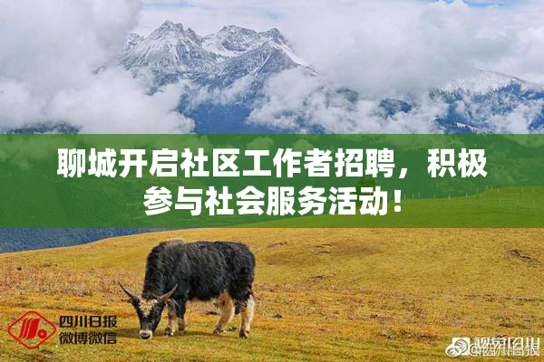 聊城开启社区工作者招聘，积极参与社会服务活动！