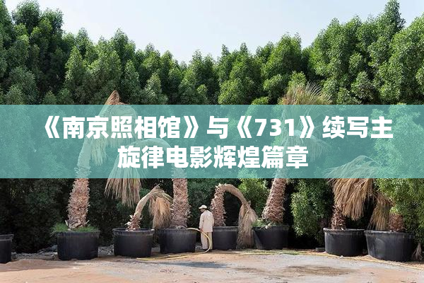 《南京照相馆》与《731》续写主旋律电影辉煌篇章