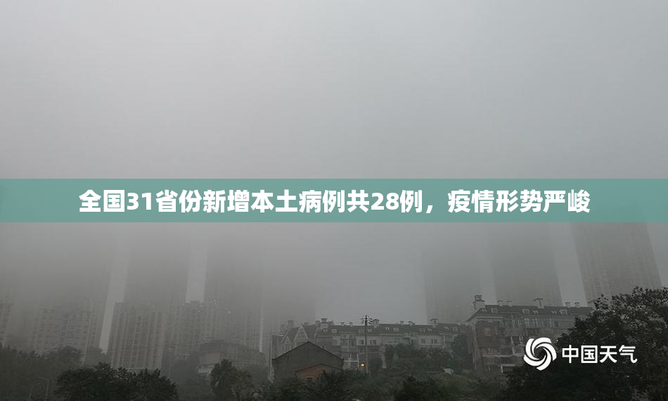 全国31省份新增本土病例共28例，疫情形势严峻
