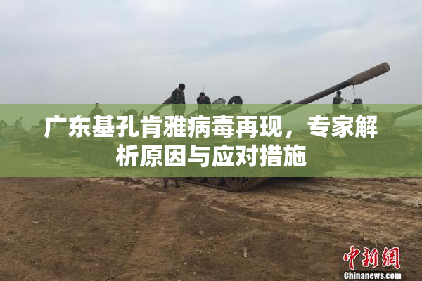 广东基孔肯雅病毒再现，专家解析原因与应对措施