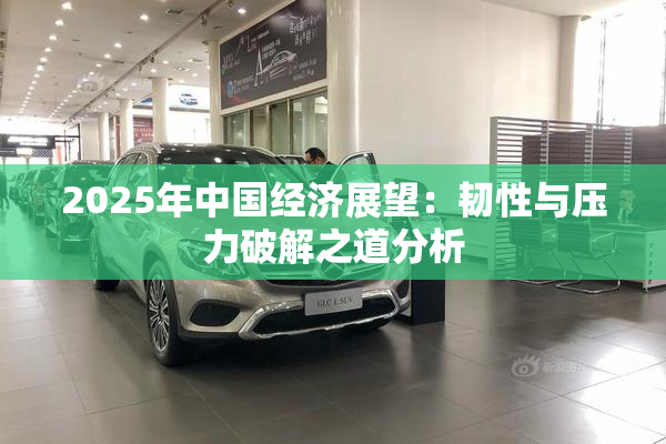 2025年中国经济展望：韧性与压力破解之道分析