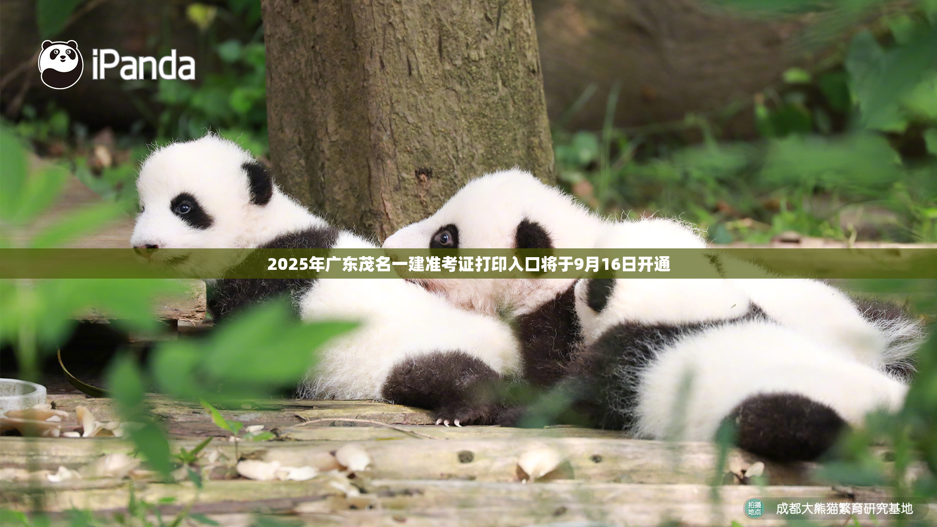2025年广东茂名一建准考证打印入口将于9月16日开通