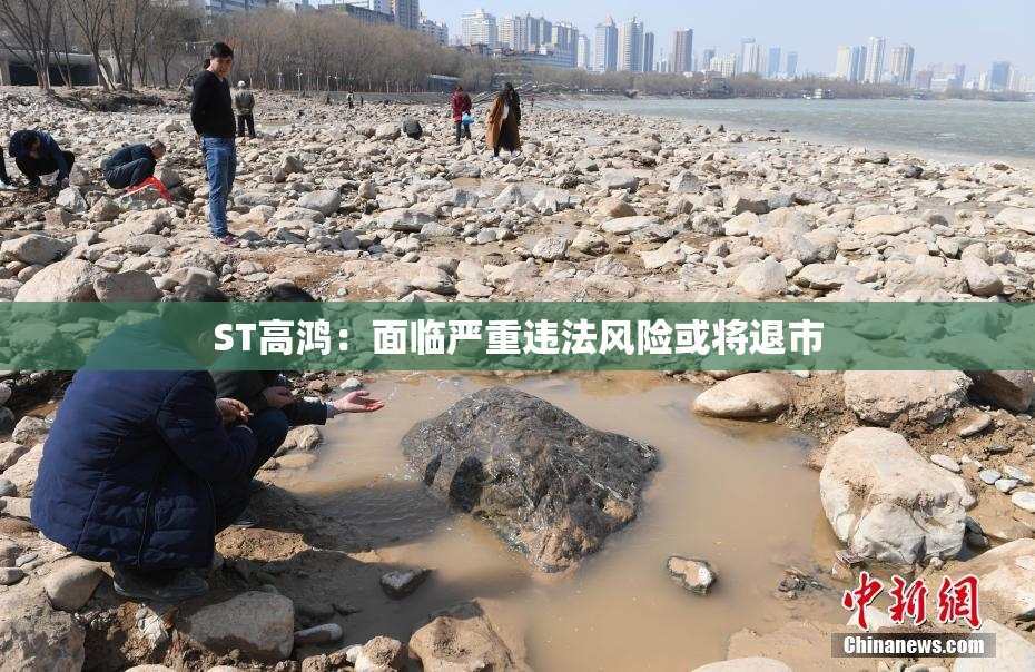 ST高鸿：面临严重违法风险或将退市
