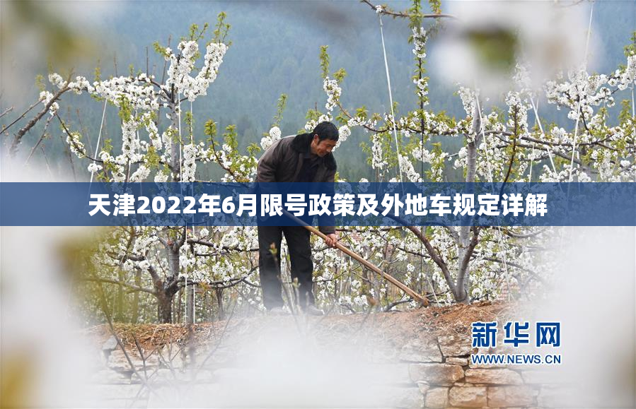 天津2022年6月限号政策及外地车规定详解