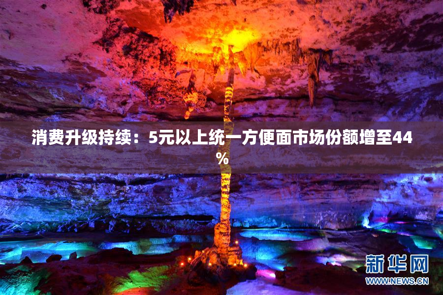 消费升级持续：5元以上统一方便面市场份额增至44%