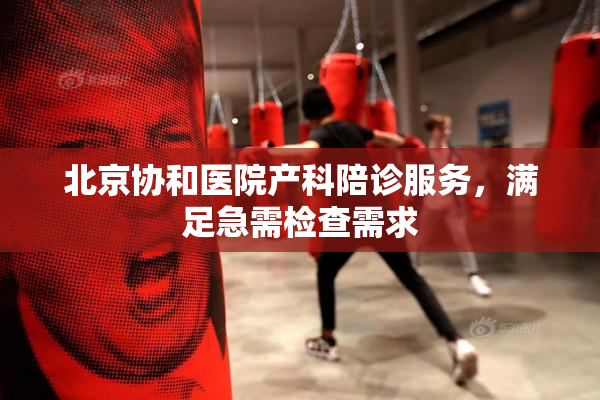 北京协和医院产科陪诊服务，满足急需检查需求