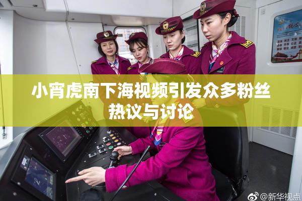 小宵虎南下海视频引发众多粉丝热议与讨论