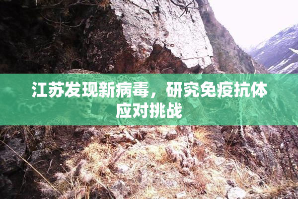 江苏发现新病毒，研究免疫抗体应对挑战