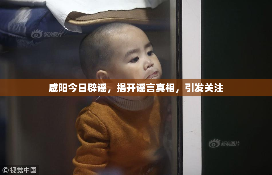 咸阳今日辟谣，揭开谣言真相，引发关注