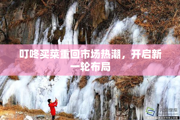 叮咚买菜重回市场热潮，开启新一轮布局