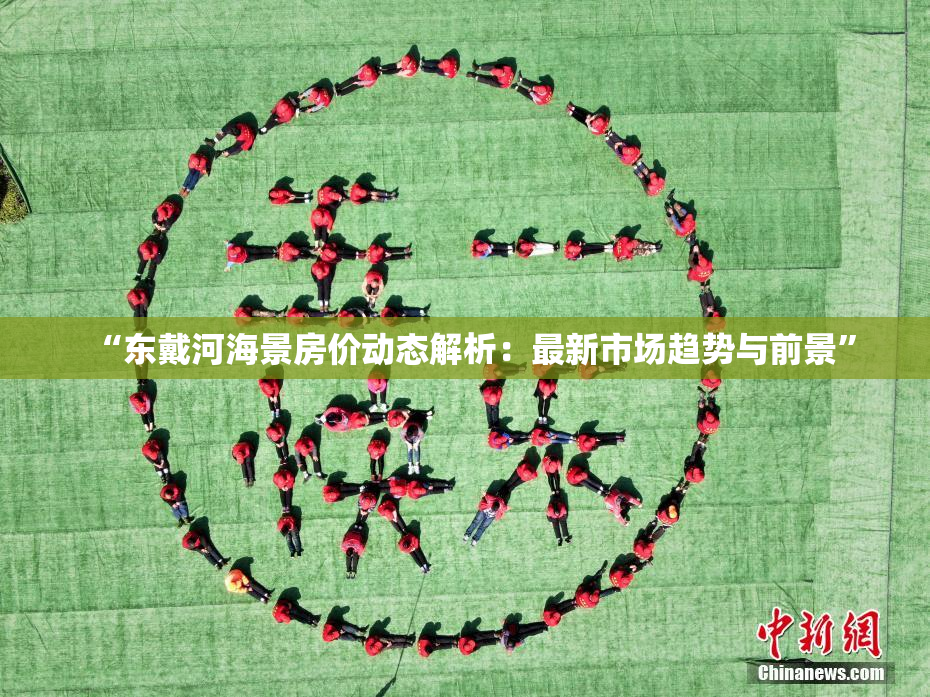 “东戴河海景房价动态解析：最新市场趋势与前景”