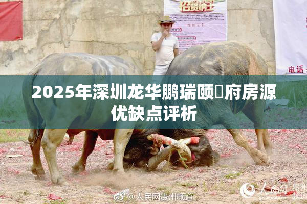 2025年深圳龙华鹏瑞颐璟府房源优缺点评析