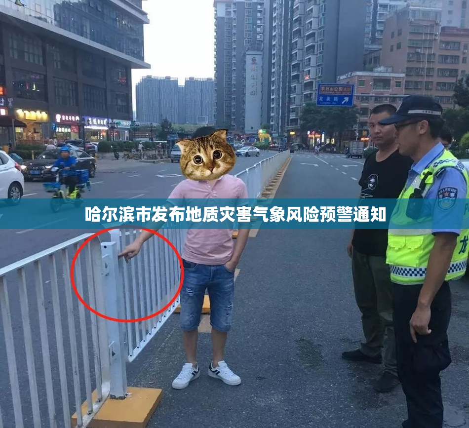 哈尔滨市发布地质灾害气象风险预警通知