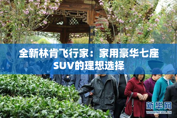 全新林肯飞行家：家用豪华七座SUV的理想选择