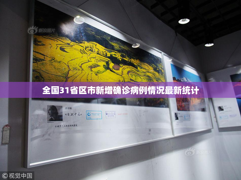 全国31省区市新增确诊病例情况最新统计