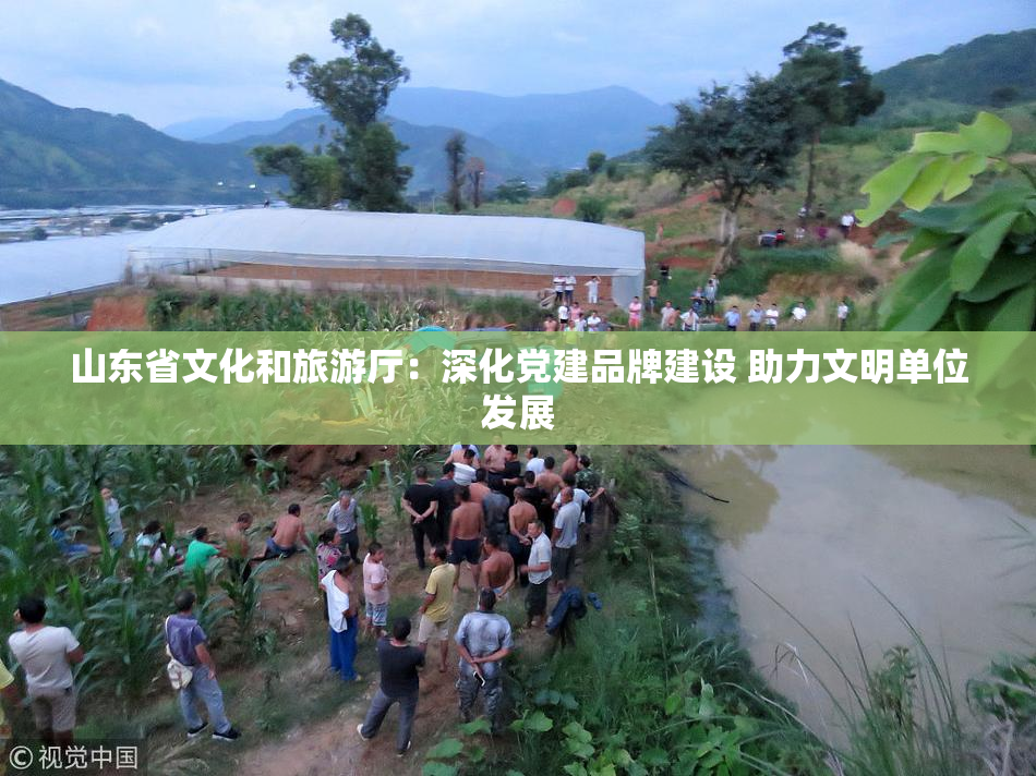 山东省文化和旅游厅：深化党建品牌建设 助力文明单位发展