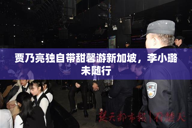 贾乃亮独自带甜馨游新加坡，李小璐未随行