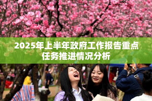 2025年上半年政府工作报告重点任务推进情况分析