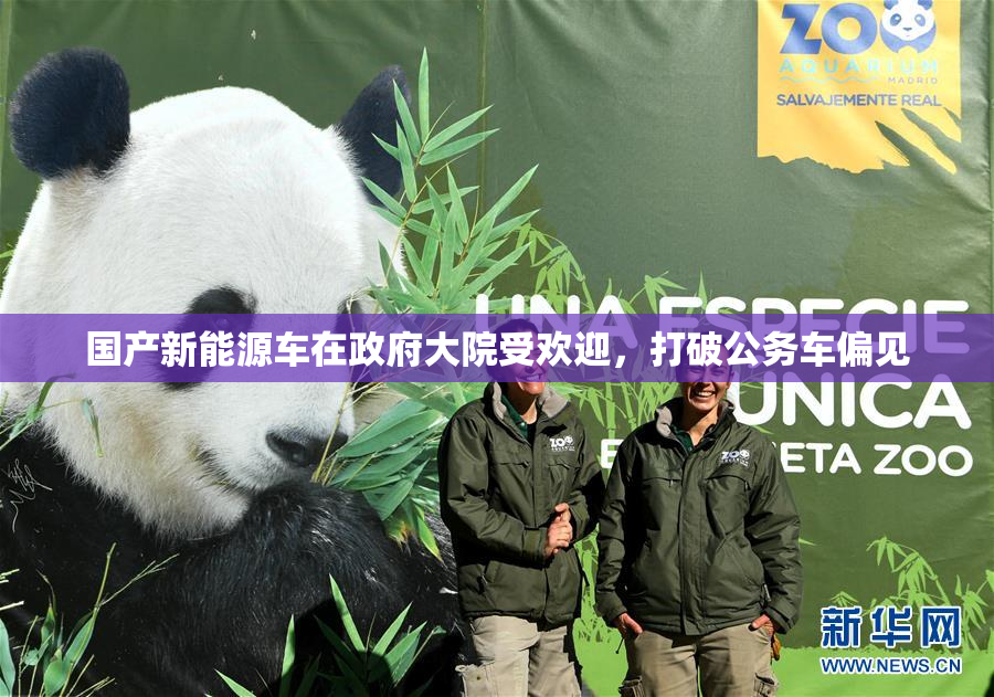 国产新能源车在政府大院受欢迎，打破公务车偏见