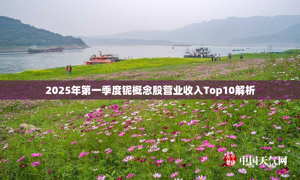 2025年第一季度铌概念股营业收入Top10解析