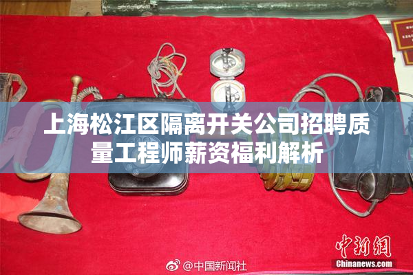 上海松江区隔离开关公司招聘质量工程师薪资福利解析