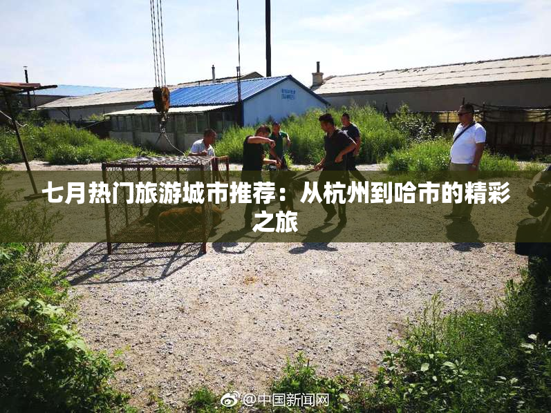 七月热门旅游城市推荐：从杭州到哈市的精彩之旅