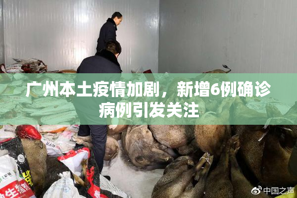 广州本土疫情加剧，新增6例确诊病例引发关注