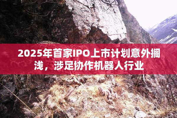 2025年首家IPO上市计划意外搁浅，涉足协作机器人行业
