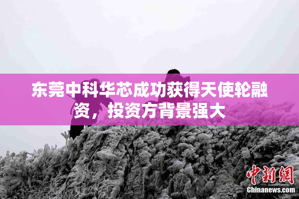 东莞中科华芯成功获得天使轮融资，投资方背景强大