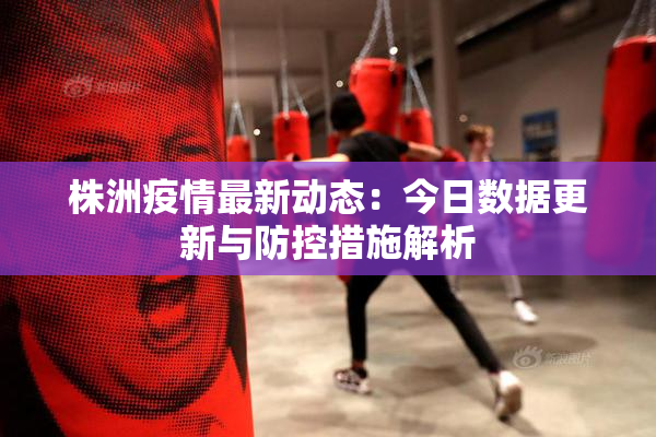 株洲疫情最新动态：今日数据更新与防控措施解析