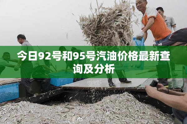 今日92号和95号汽油价格最新查询及分析