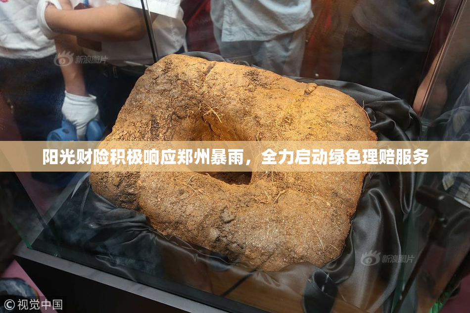 阳光财险积极响应郑州暴雨，全力启动绿色理赔服务