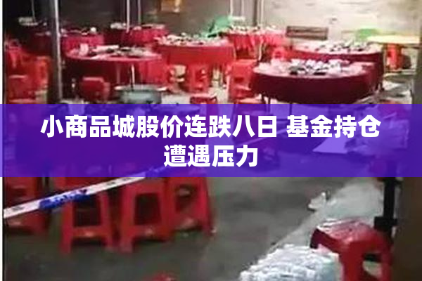 小商品城股价连跌八日 基金持仓遭遇压力