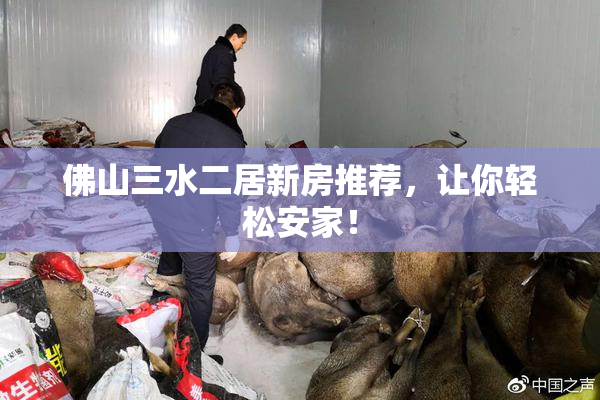 佛山三水二居新房推荐，让你轻松安家！